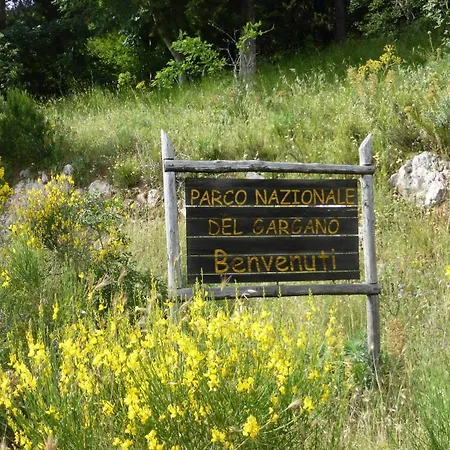 Vittoria San Giovanni Rotondo